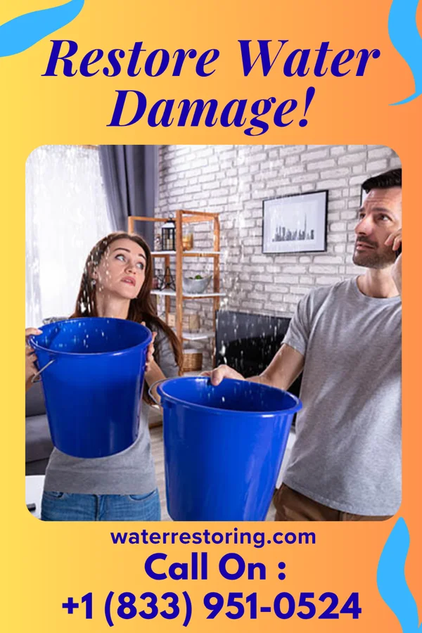 water restoration Hawk Sewage Cleanup Inc Yellow Springs