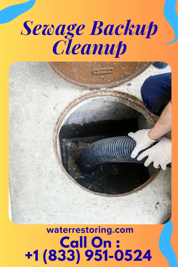 Sewage Backup Cleanup in Yellow Springs, OH