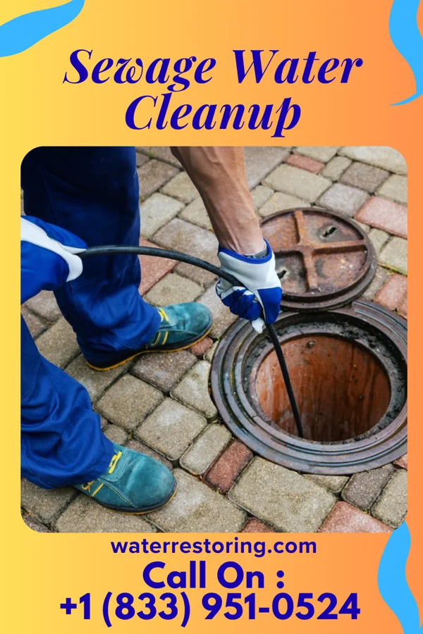 Sewage Water Cleanup in Yellow Springs, OH